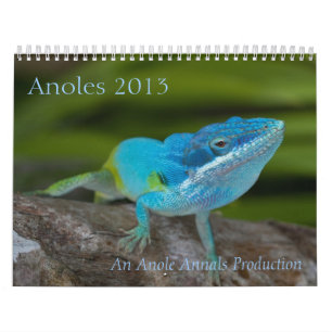 Anoles 2013 Kalender