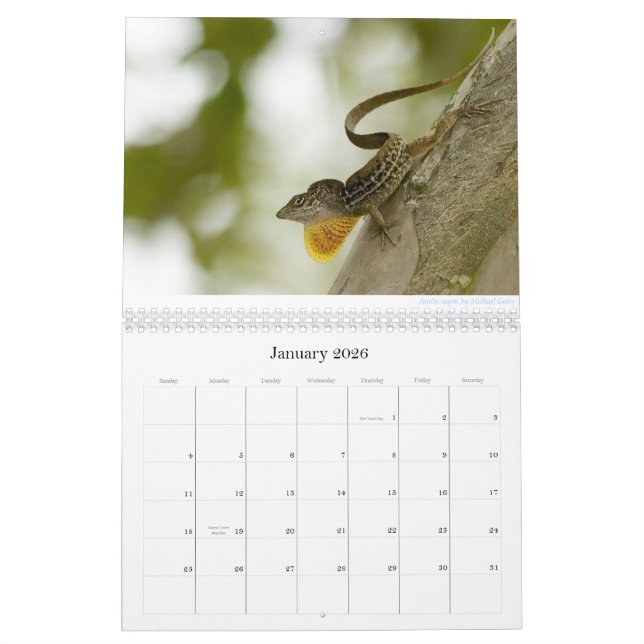 Anoles 2013 Kalender (Jan 2026)