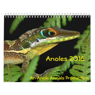 Anoles 2016 - Eine Anole Annalen-Produktion Kalender