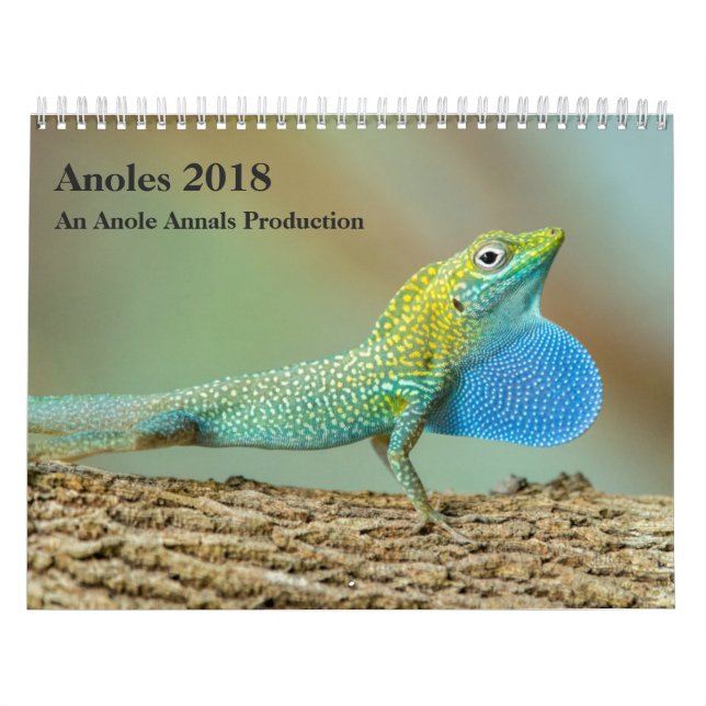 Anoles 2018 - Eine Anole Annalen-Produktion Kalender (Titelbild)