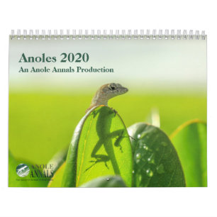 Anoles 2020 - Eine Anole Annals Produktion Kalender