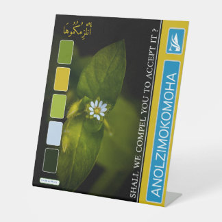 ANOLZIMOKOMOHA SOCKELSCHILD