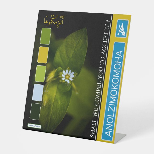 ANOLZIMOKOMOHA SOCKELSCHILD (Vorderseite)