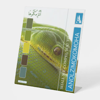 ANOLZIMOKOMOHA SOCKELSCHILD