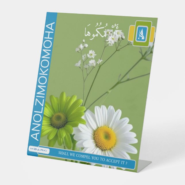 ANOLZIMOKOMOHA SOCKELSCHILD (Vorderseite)
