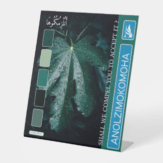 ANOLZIMOKOMOHA SOCKELSCHILD