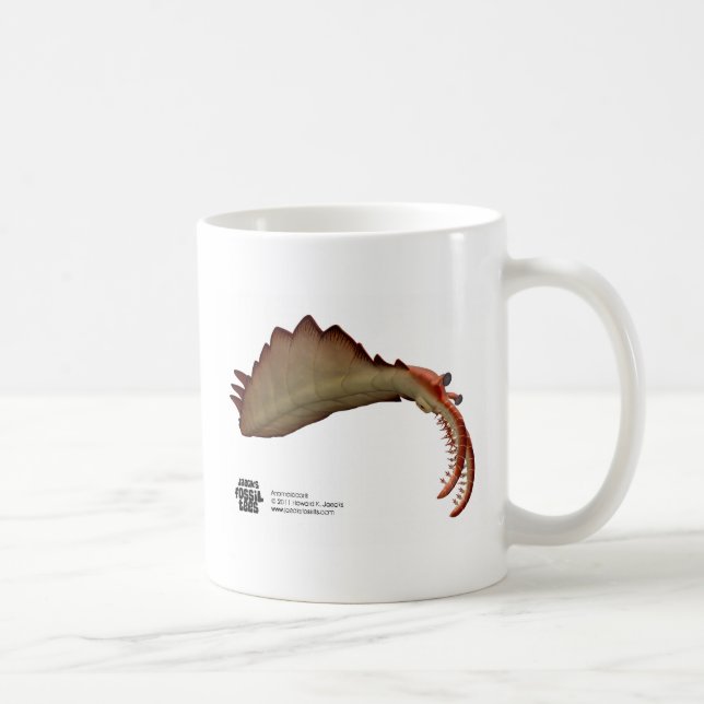 Anomalocaris Kaffeetasse (Rechts)