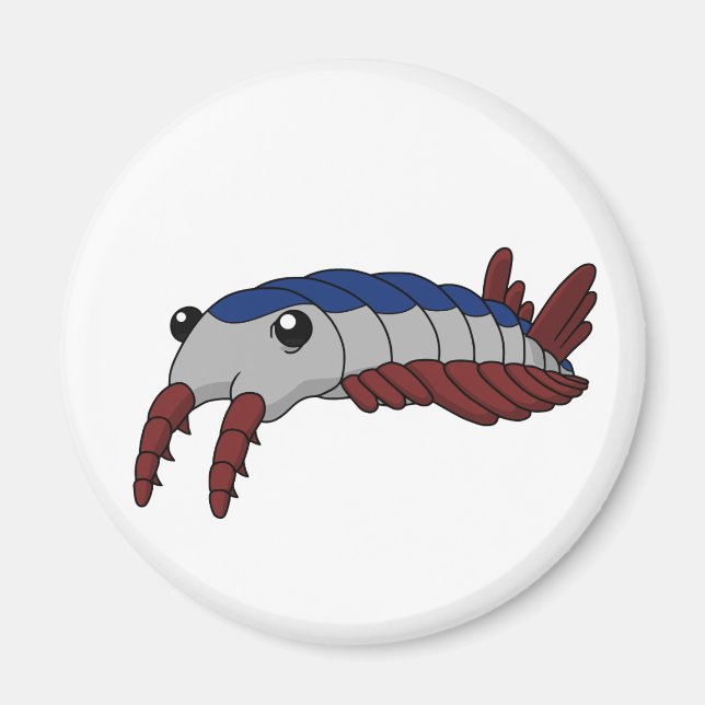 Anomalocaris - Prähistorisches Tier Magnet (Vorne)