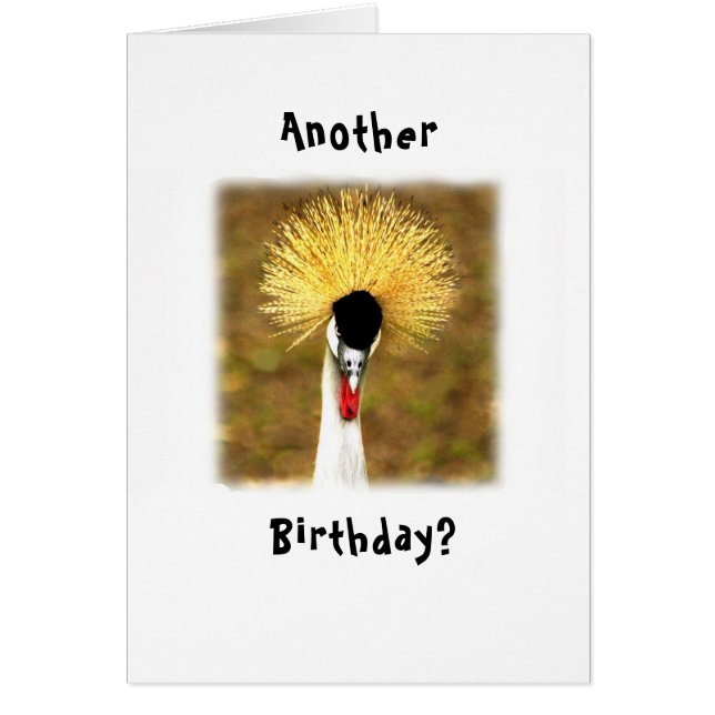 Another Birthday? Wow! Card for Senior Citizen (Vorne)