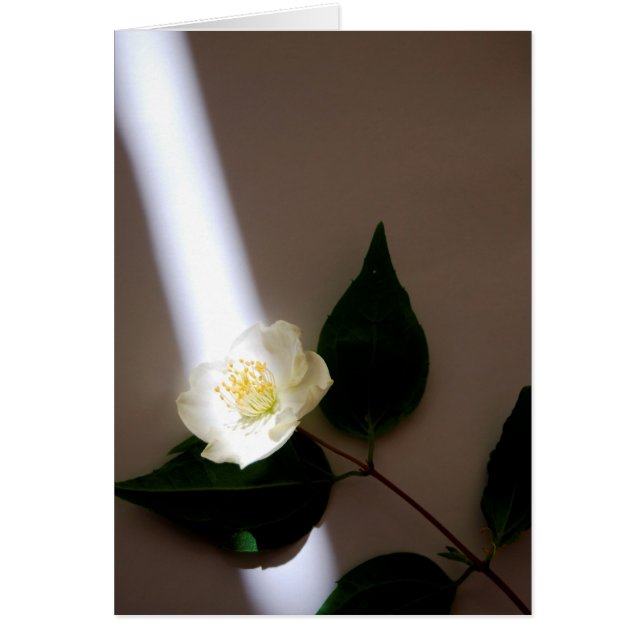 Anpassbare Blankenkarte (Vorne)