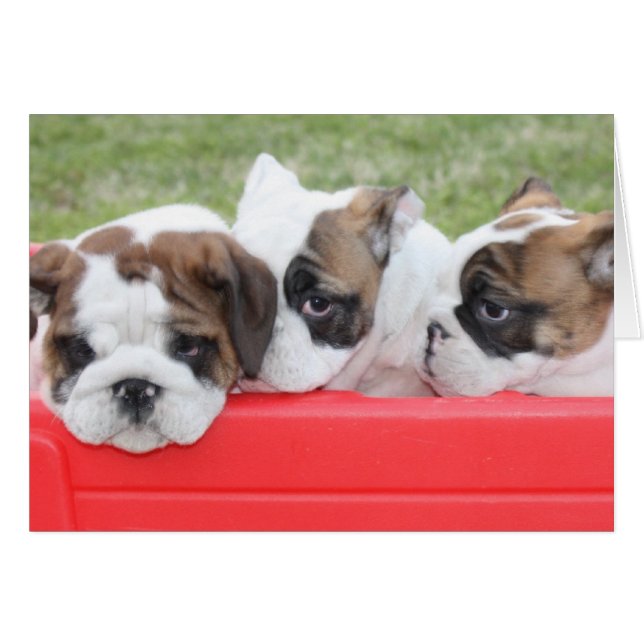 Anpassbare Chipkarte für die Liebe von Welpen (Vorderseite (Horizontal))