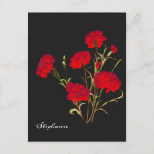 Anpassbare Elegante Vintage-Blumen-Rote Nelke Postkarte