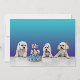 Anpassbare flache Party-Einladungskarte 5x7 Einladung