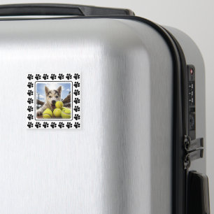 Anpassbare Foto-Paw-Eigenschaft Perfektion Magnet