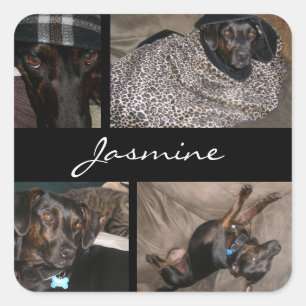 Anpassbare Fotos Collage Monogram Dog Lover Quadratischer Aufkleber