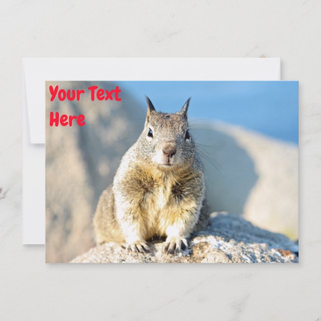 Anpassbare graue Eichhörnchenkarte Karte (Vorderseite)