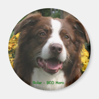 Anpassbare Größe Magnet