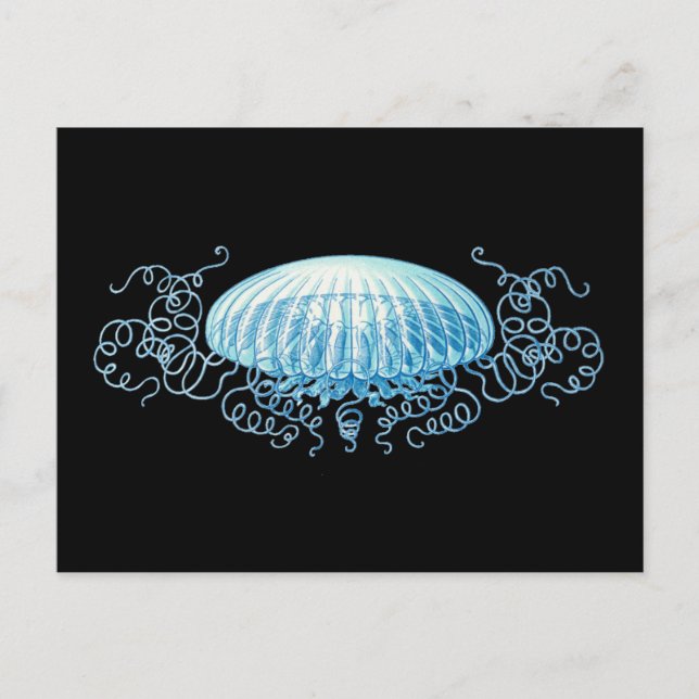 Anpassbare Haeckel Jellyfish Postkarte (Vorderseite)