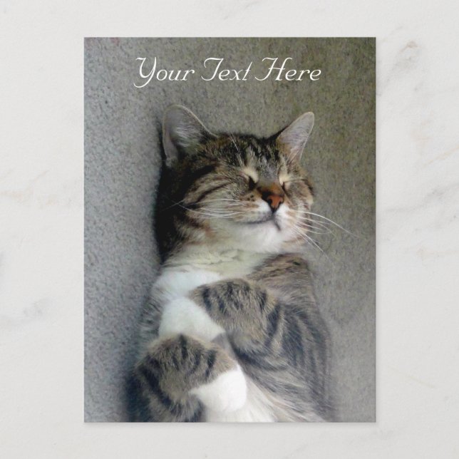 Anpassbare Happy Cat Post Card Postkarte (Vorderseite)