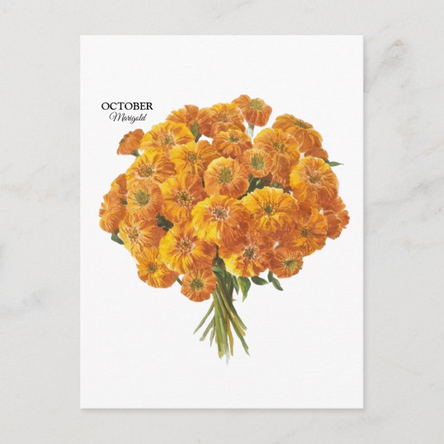 Anpassbare Oktober-Marigold-Geburtstagsgeschenk Postkarte (Vorderseite)