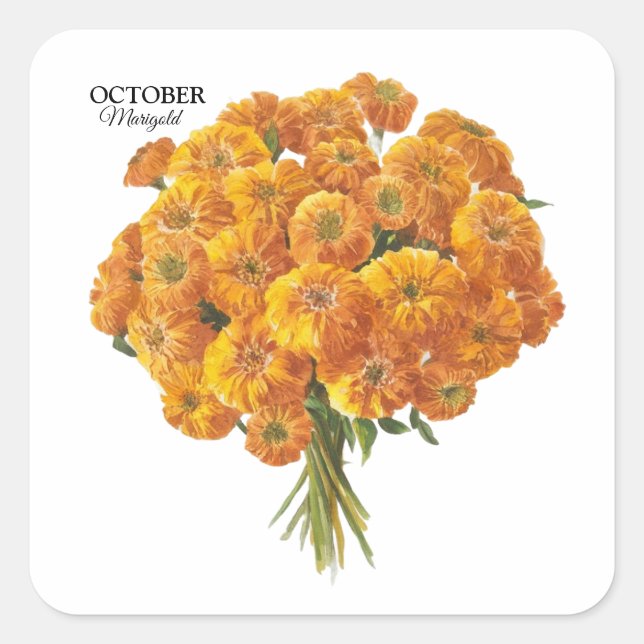 Anpassbare Oktober-Marigold-Geburtstagsgeschenk Quadratischer Aufkleber (Vorderseite)