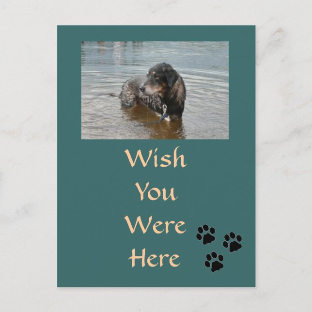 Anpassbare Postkarte (Vorderseite)