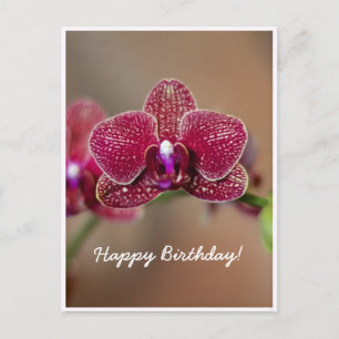 Anpassbare schöne rote Orchideen-Geburtstagskarte Postkarte
