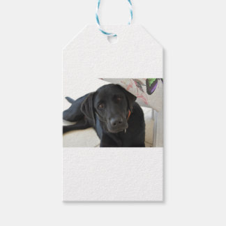 Anpassbare Schwarze Labrador Retriever Geschenkanhänger