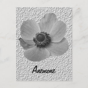 Anpassbare Vintage-Anemone-Postkarte Postkarte