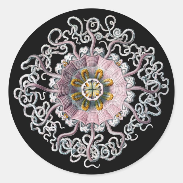 Anpassbare Vintage Haeckel Runder Aufkleber (Vorderseite)