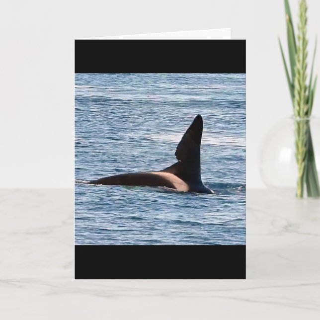Anpassbarer John Coe Killerwal Westküste Orca Karte (Vorderseite)