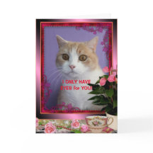 Anpassbarer Lustiger Katzen Valentinstag