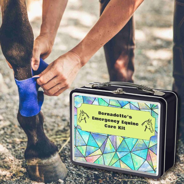 Anpassbarer Notcontainer für PferdeEquity Metall Brotdose (Von Creator hochgeladen)