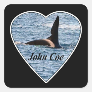 Anpassbarer Orca-Schwertwal John Coe Quadratischer Aufkleber