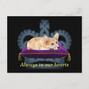 Anpassbarer Queen Corgi-Kissen-Kronen-Postkarte Postkarte