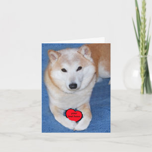 Anpassbarer Shiba Inu Hund mit rotem Herzen Feiertagskarte