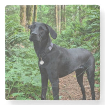 Anpassbarer Untersetzer! Sichern und anstarren