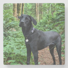 Anpassbarer Untersetzer! Sichern und anstarren Steinuntersetzer