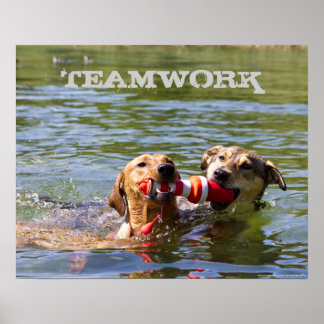 Anpassbares Dog Teamwork Poster