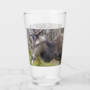Anpassbares Freches Lustiges Junggesellenabschied  Glas
