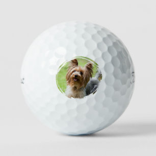 Anpassbares Haustierfoto-Geschenk für Golfliebhabe Golfball