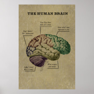 Anpassbares Human Brain Poster, bearbeiten Sie die Poster