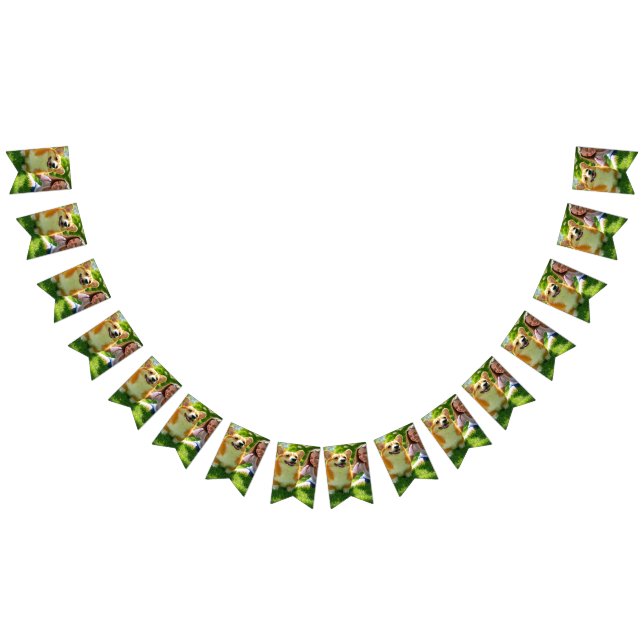 Anpassen des Fotos für Begleiter hinzufügen Wimpelkette (Alle)