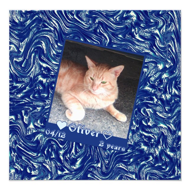 Anpassen des Frame Foto Katze auf dunkelblauer Tex (Vorne)