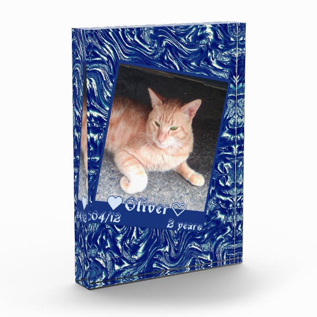 Anpassen des Frame Foto Katze auf dunkelblauer Tex (Links)