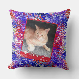 Anpassen des gerahmten Foto-Katzen-Tieres an die b Kissen