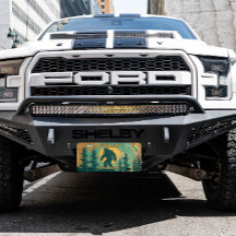 Anpassen des Oklahoma Bigfoot Squatchin-Staat