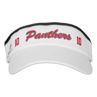 Anpassen des Panther-Monitors Visor