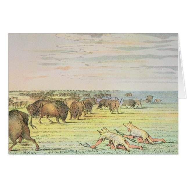 Anpirschender Büffel (Vorderseite (Horizontal))