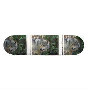 Anpirschendes Wolf-Skateboard Skateboard